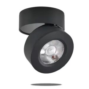 Adjustable Spotlight